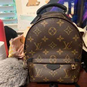 Louis Vuitton Palm Springs Mini